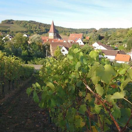 Weingut Will Und Wuerz Lemberger Apartment Schwaigern Exterior photo